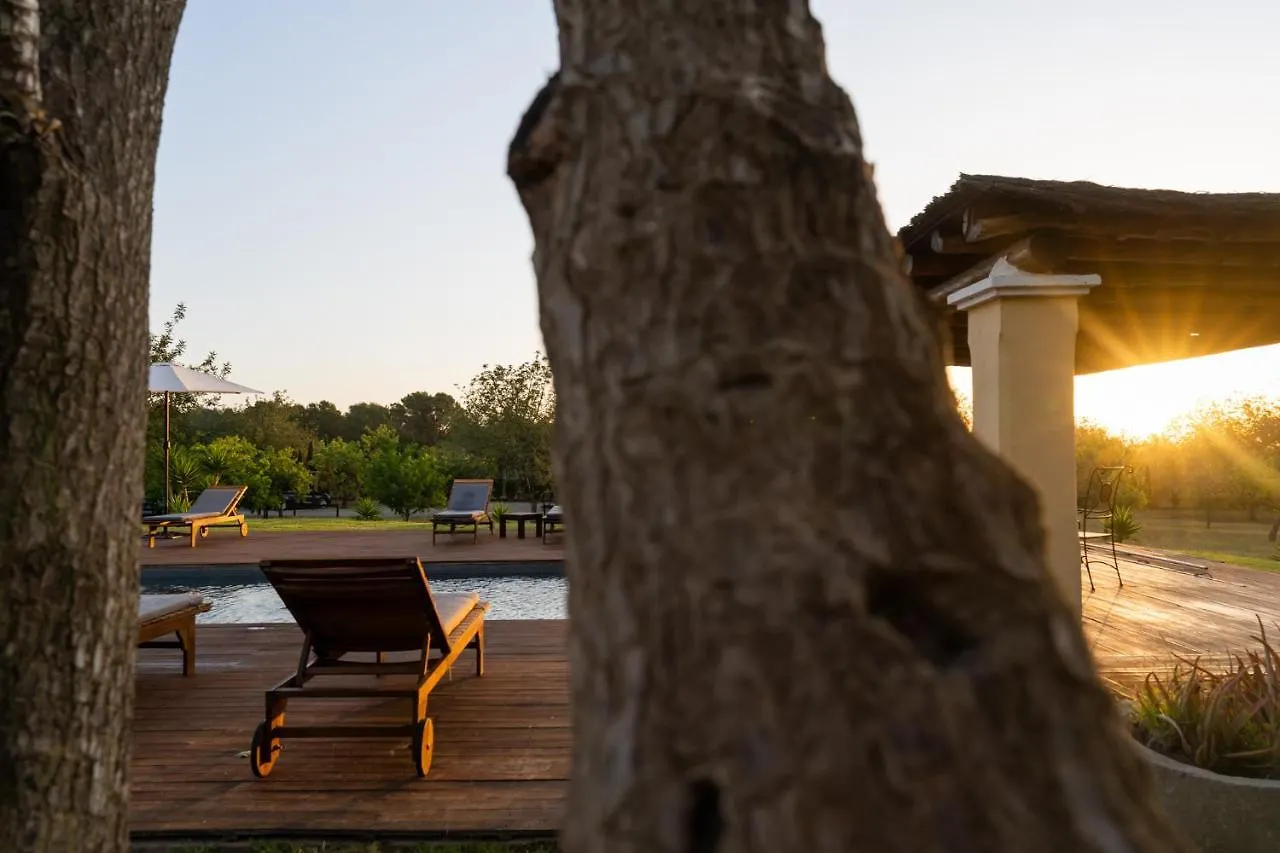 Las Mariposas San Antonio  Country house San Antonio (Ibiza)