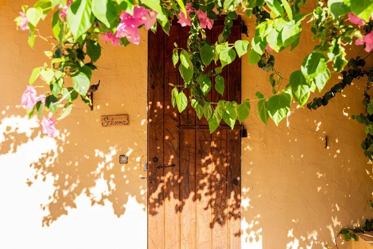 Las Mariposas San Antonio  Country house