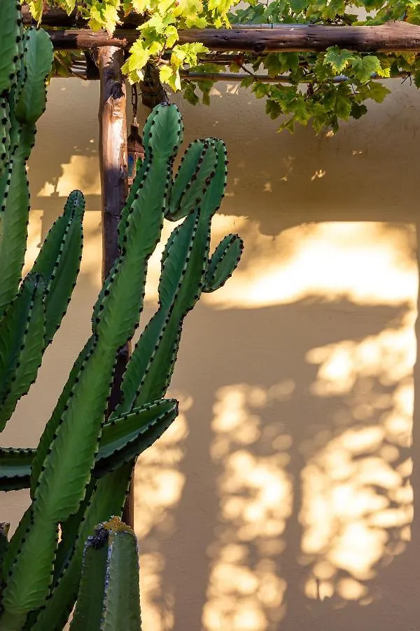 Las Mariposas San Antonio  Country house San Antonio (Ibiza)