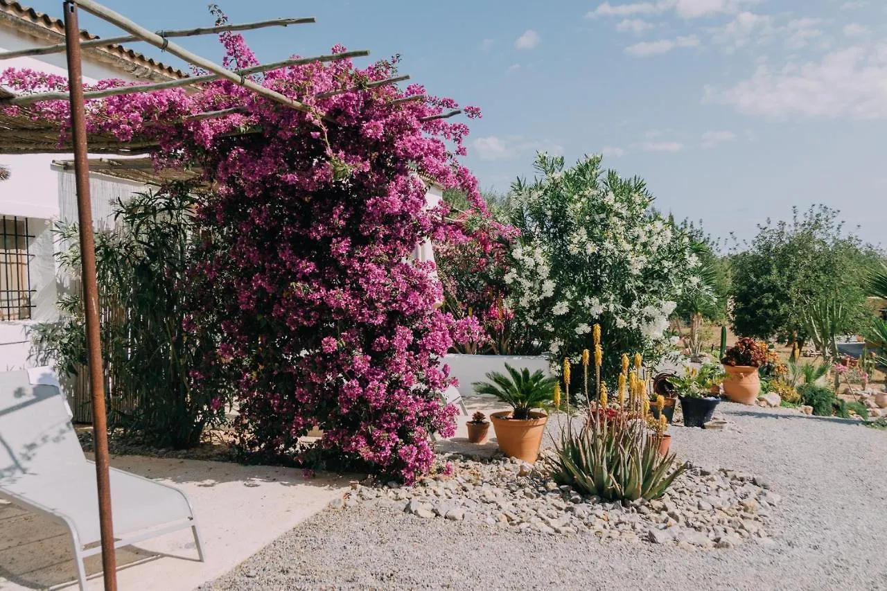 Las Mariposas San Antonio  San Antonio (Ibiza)