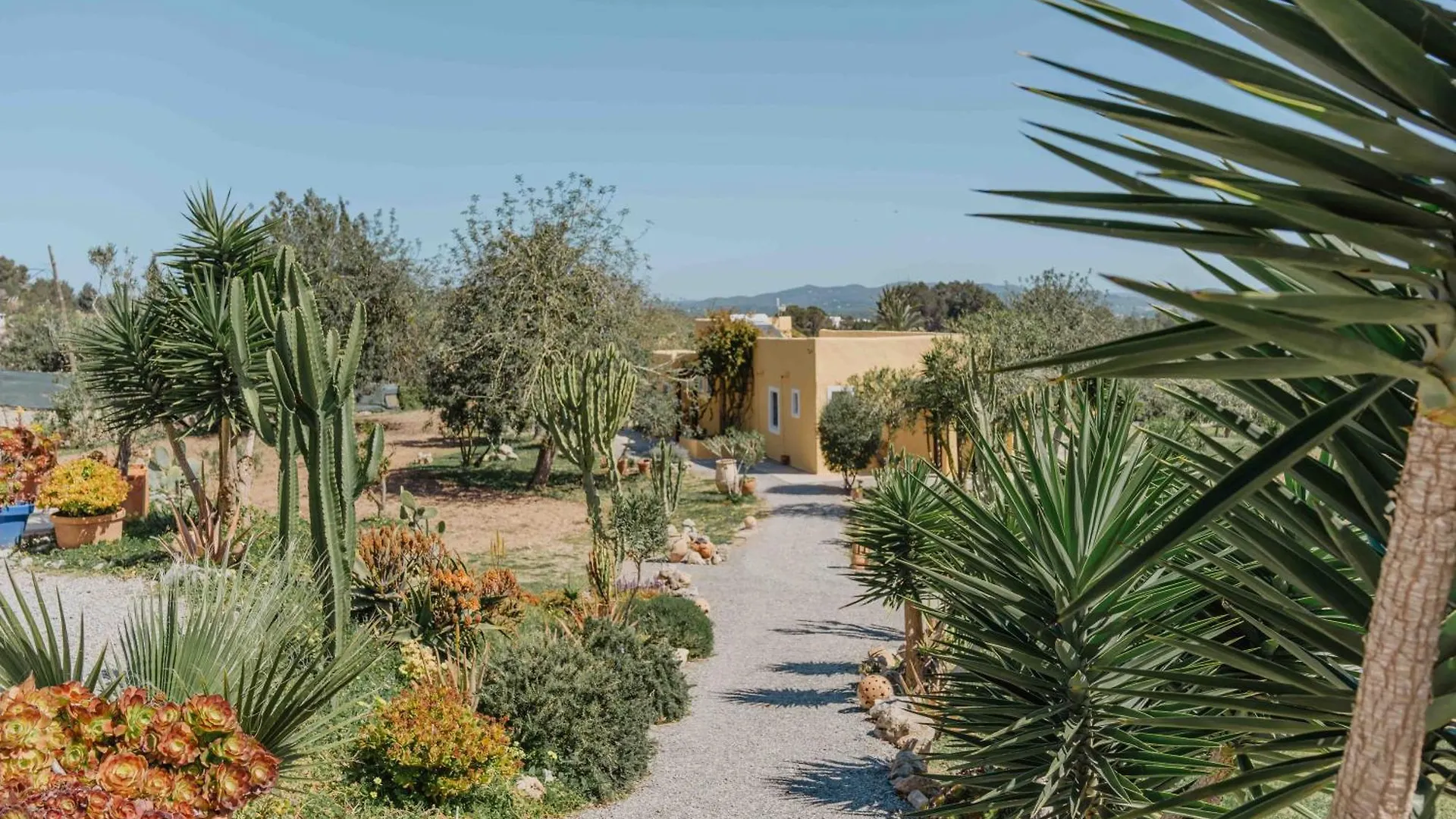 Las Mariposas San Antonio