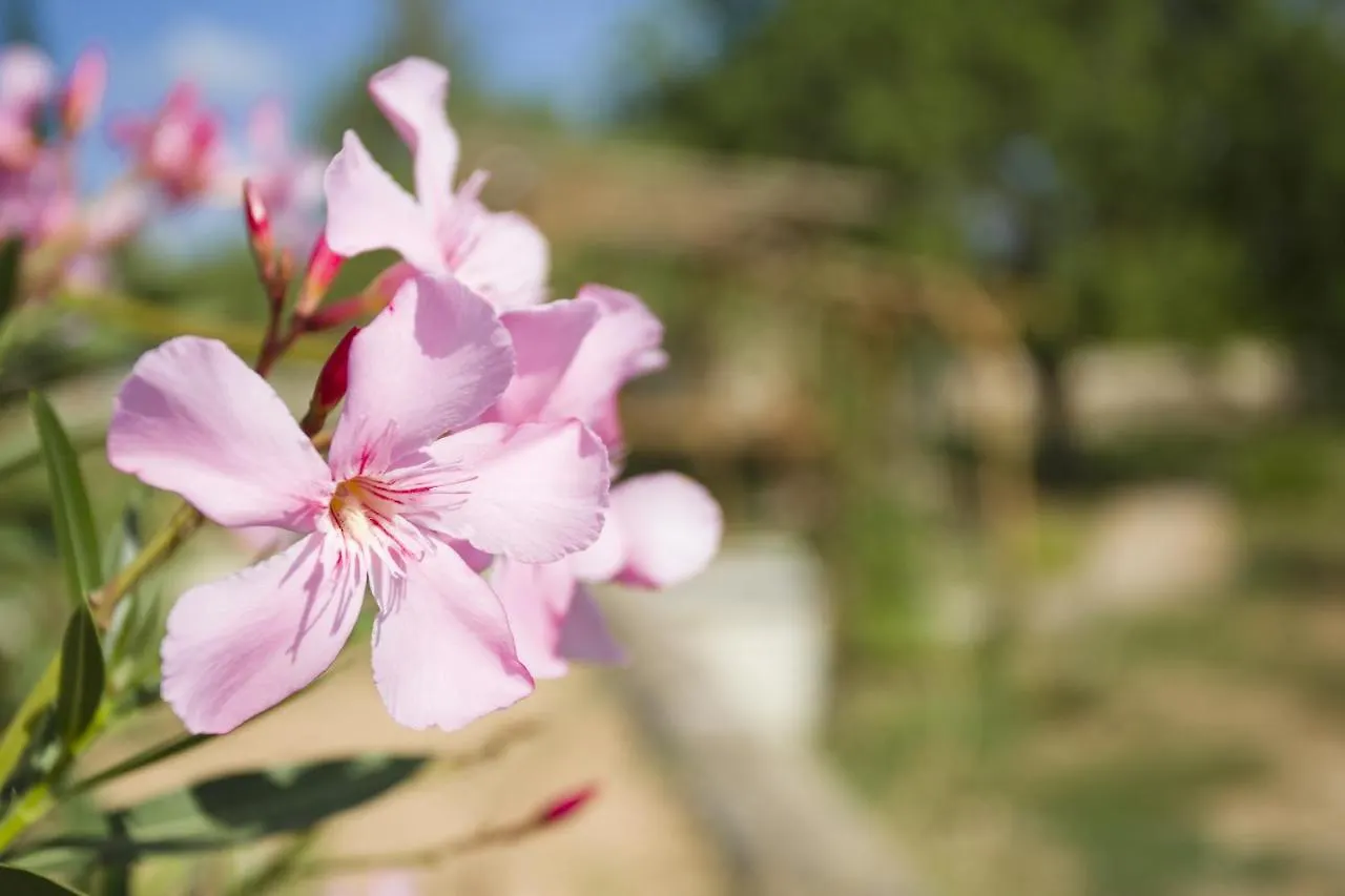 Las Mariposas San Antonio  Country house San Antonio (Ibiza)